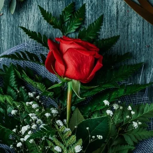 Vendre roses sense llicència per Sant Jordi